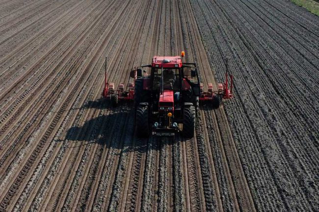 weddermarke-bieten-zaaien